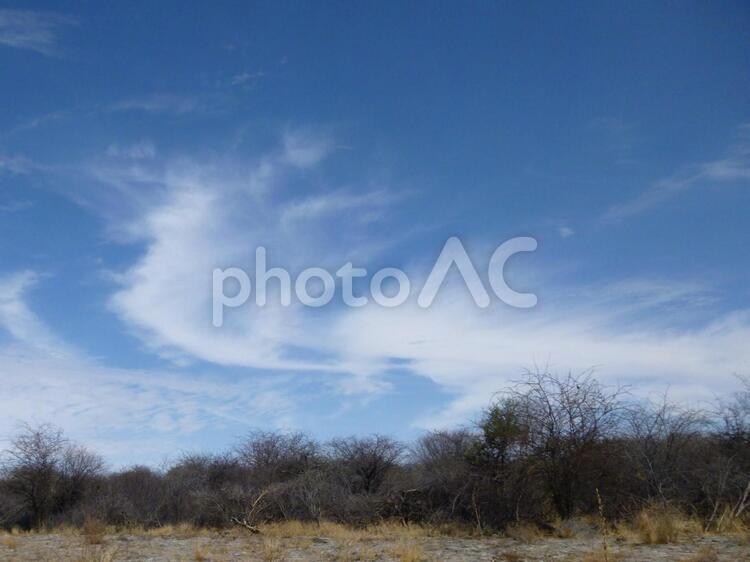 アフリカの風景53　乾季 アフリカ,乾季,乾燥の写真素材