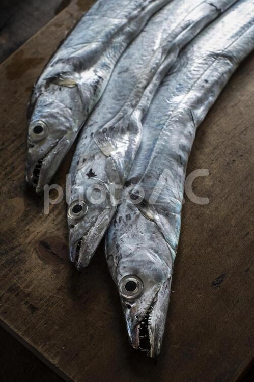 おしゃれなまな板の上のタチウオ タチウオ,太刀魚,たちうおの写真素材