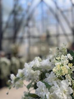 結婚式の挙式会場 結婚式,挙式会場,挙式の写真素材