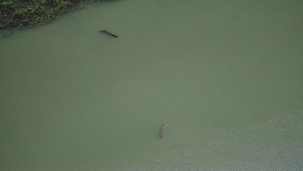 漂流物 漂流物の写真