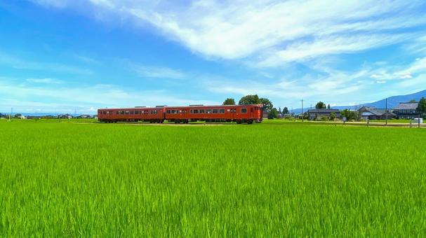 夏の田園風景と鉄道(富山・南砺市):5 夏の田園風景と鉄道(富山・南砺市):5 ローカル,鉄道,城端線の写真素材