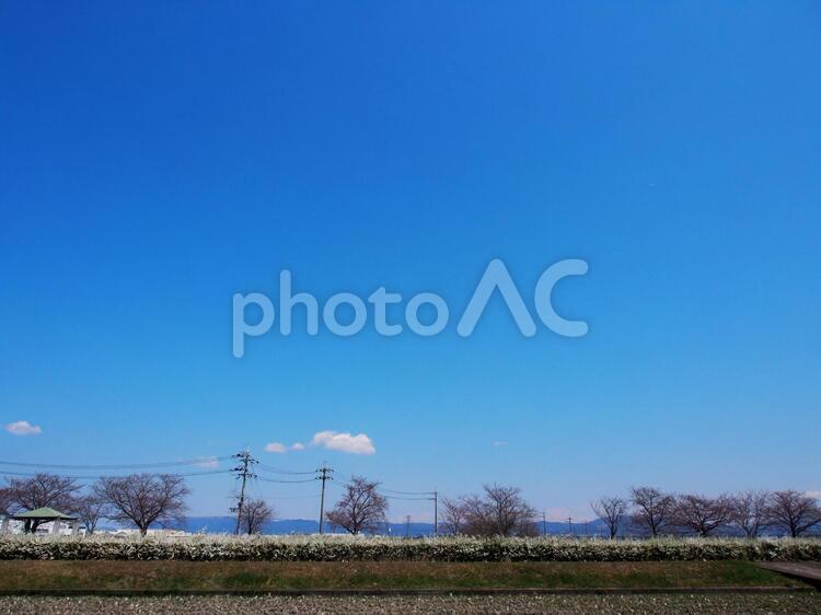 田園風景（春） 4月,公園,快晴の写真素材