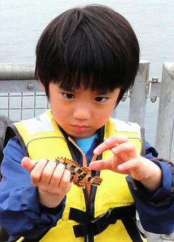 Boy looking at fish, JPG Boy looking at fish, JPG