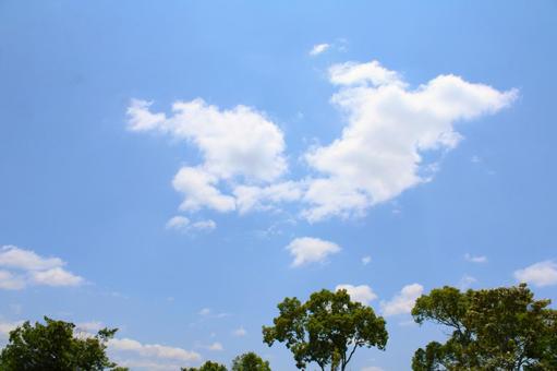 Photo, blue sky, sky, cloud, 