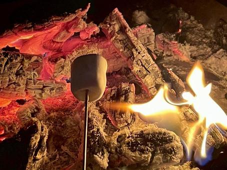 スモア マシュマロ,スモア,焚火の写真素材