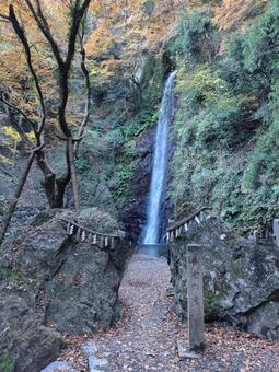 岐阜県-養老の滝 養老の滝,滝,日本の滝百選の写真素材