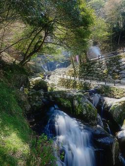 糸島市 白糸の滝 糸島市 白糸の滝 福岡,糸島市,白糸の滝の写真素材