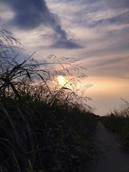 秋の夕暮れ 秋の夕暮れ 夕焼け,空,散歩道の写真素材