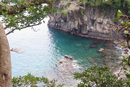 伊豆・城ケ崎海岸 伊豆・城ケ崎海岸の写真