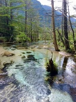 上高地01 上高地01 上高地,長野県,自然の写真素材
