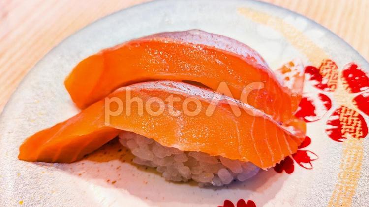 サーモンのにぎり寿司 サーモン,にぎり寿司,寿司の写真素材