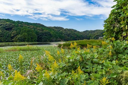 静岡県磐田市の鶴ケ池 10月秋の池の景色 静岡県磐田市の鶴ケ池 10月秋の池の景色 日本,静岡県,磐田市の写真素材