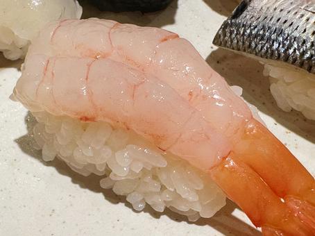 甘エビ握り 甘エビ,握り,寿司の写真素材