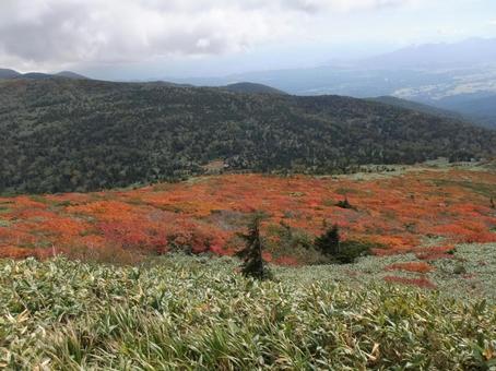 三ッ石山紅葉⑭ 三ッ石山紅葉⑭の写真