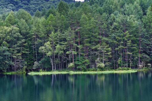 雨の鏡池 雨の鏡池 鏡池,池,四季の写真素材
