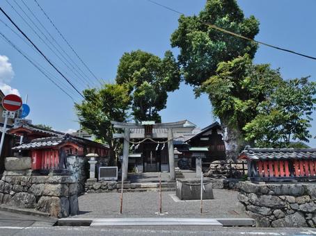 日吉御田神社(ひよしみたじんじゃ) 日吉御田神社(ひよしみたじんじゃ)の写真