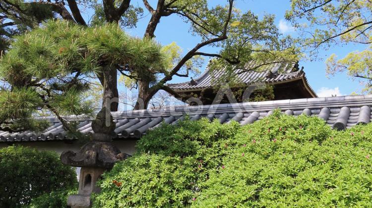 建中寺　境内の風景 建中寺,尾張徳川家,菩提寺の写真素材