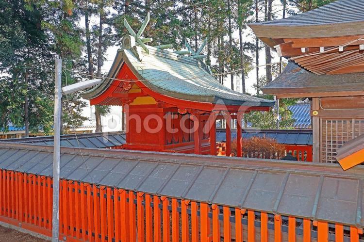 日枝神社（川越） 日枝神社,仙波日枝神社,川越日枝神社の写真素材