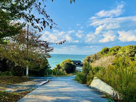 粟嶋神社 粟嶋神社,神社,神社仏閣の写真素材