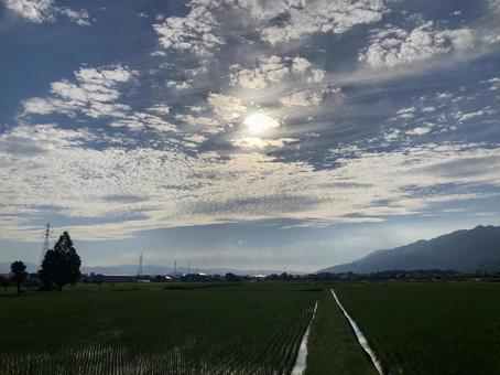 夏の太陽と空と雲と緑(横) 夏の太陽と空と雲と緑(横)の写真