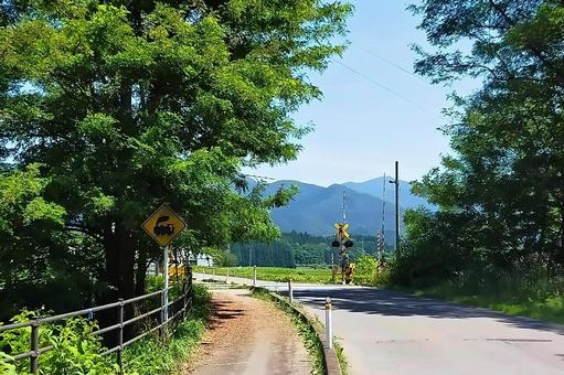 Photo, local line, railway line, railroad crossing, 