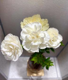 花瓶の花 白い花 カーネーション 花瓶の花 白い花 カーネーションの写真