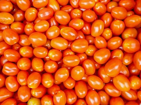 プチトマト プチトマト,ミニトマト,野菜の写真素材