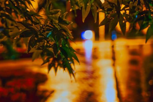 濡れた地面に浮かぶ青と黄色の光の玉ボケ 夜景,夜,雨の写真素材