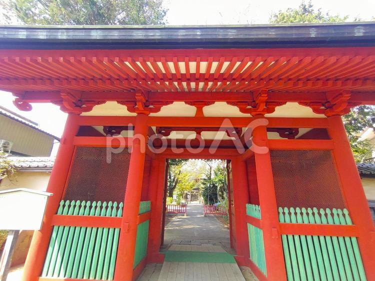 写真素材：埼玉県 仙波東照宮の随身門 仙波東照宮,随身門,埼玉県の写真素材