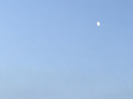 夕方の月の写真