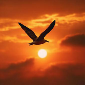 燃えるような、夕暮れの空 燃えるような、夕暮れの空の写真
