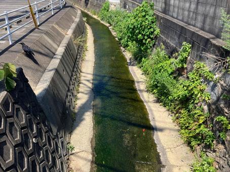 住宅街の間を流れる排水路 住宅街の間を流れる排水路の写真