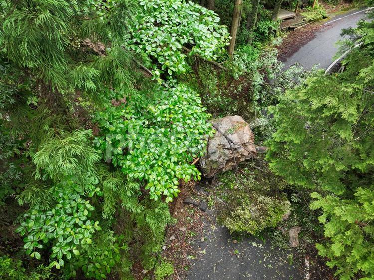 災害：落石と倒木 倒木,落石,土砂崩れの写真素材