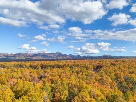 北軽井沢の秋の絶景 北軽井沢の秋の絶景 紅葉,森林,山の写真素材