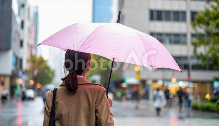 ピンクの傘をさして通勤する女性の後ろ姿 雨,傘,雨傘の写真素材
