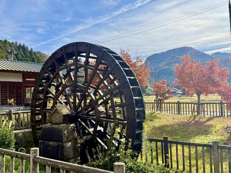 11月　秋の竹田水車メロディーパーク 竹田水車メロディーパーク,自然,水車の写真素材