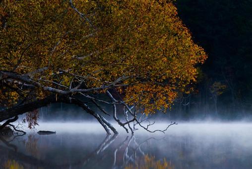 オンネトーの紅葉の写真