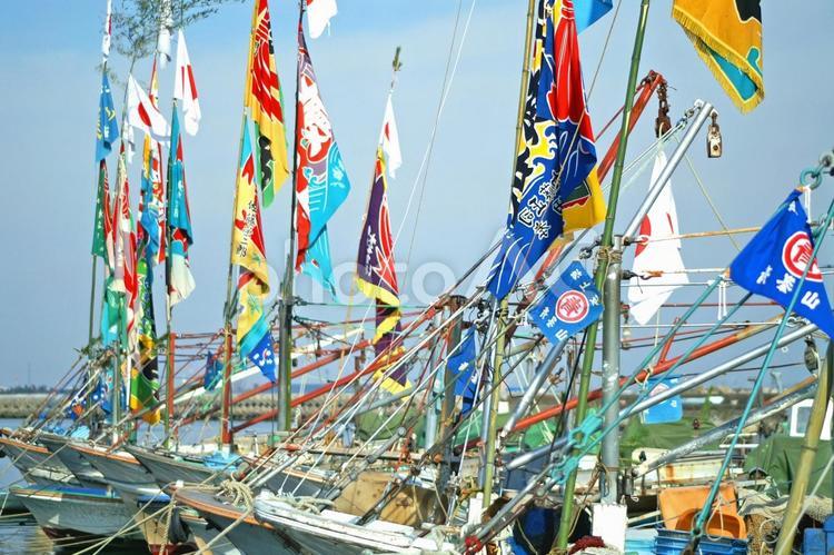 風を感じる、大漁旗 大漁旗,港,漁業の写真素材