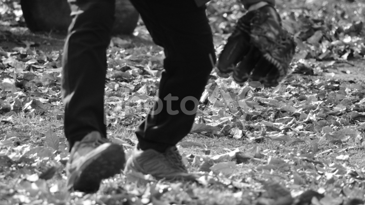 ボールを拾う動作 キャチボール,グローブ,走るの写真素材