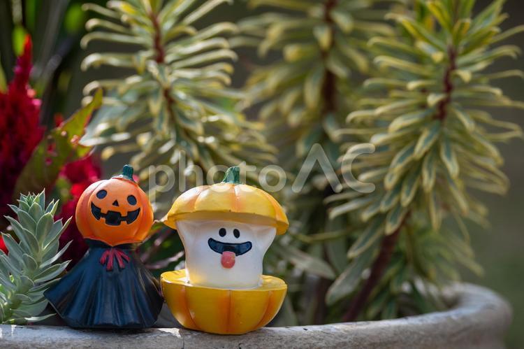 二人で撮れて幸せ ハロウィーン,かぼちゃ,お化けの写真素材