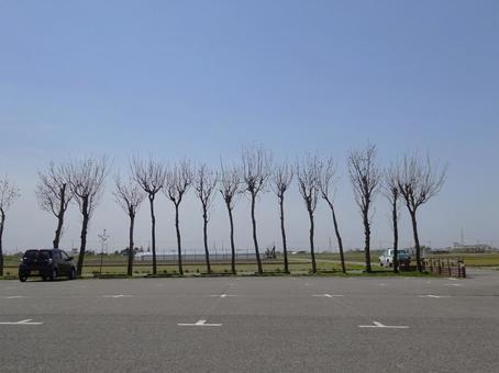 北方文化博物館の稲架木 北方文化博物館の稲架木の写真