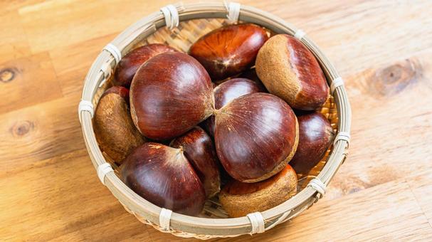 栗 栗,愛媛県産,中山栗の写真素材