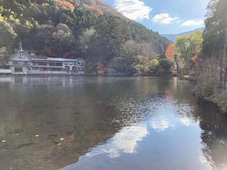 木々に囲まれた透き通った池 家,森,木の写真素材