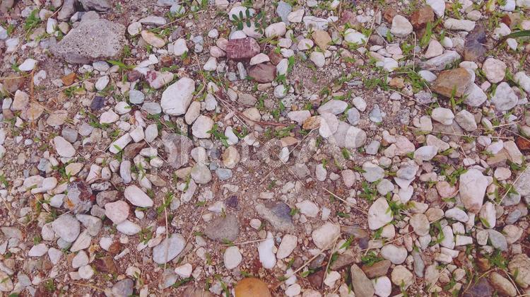 石と土と草 おしゃれ,背景,自然の写真素材