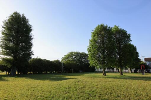 公園の朝 公園,あさ,芝生の写真素材