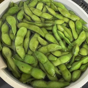 枝豆 枝豆,酒のつまみ,豆の写真素材