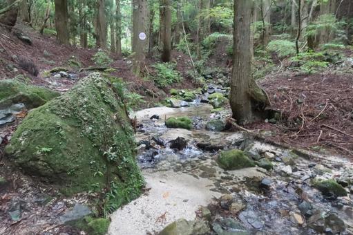 武奈ヶ岳の登山道 武奈ヶ岳の登山道 9月,秋,山の写真素材