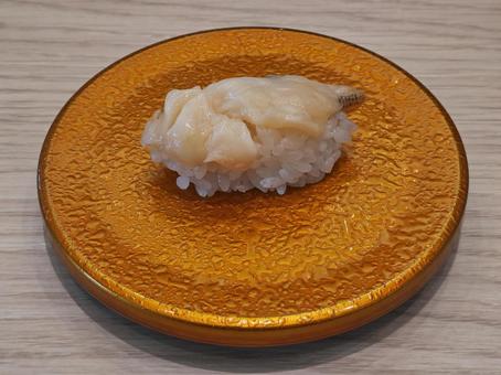 お寿司「つぶ貝」 お寿司「つぶ貝」 つぶ貝,貝,握りずしの写真素材