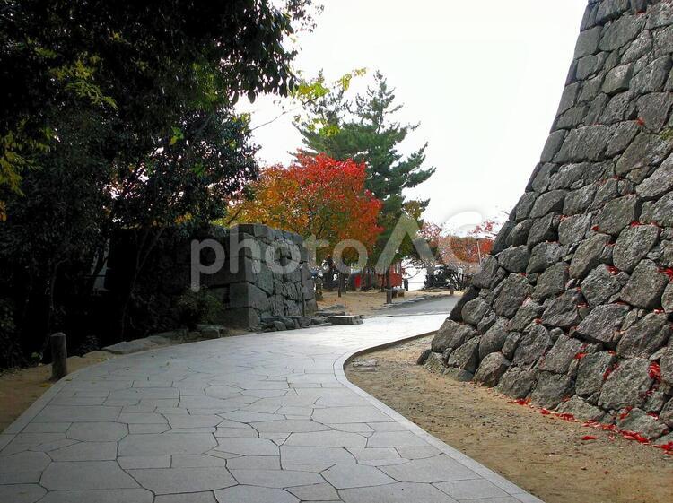 松山城 松山城,城,松山の写真素材