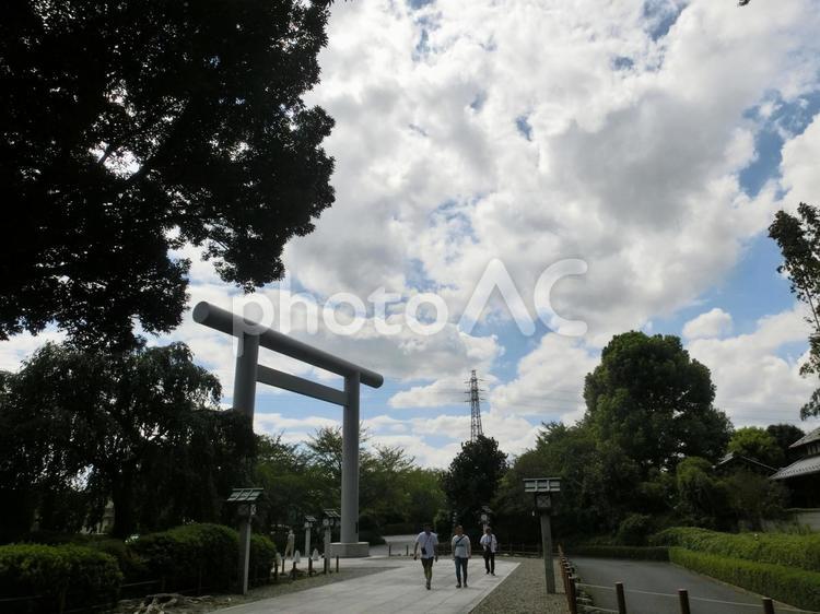 櫻木神社の風景-1 櫻木神社,千葉県野田市,大鳥居の写真素材